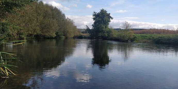 Compress_20251010_071210_0309