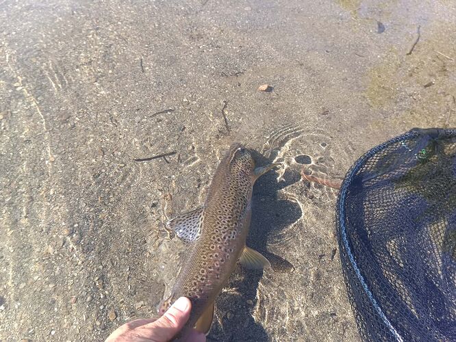 IMG_20250720_093059_906