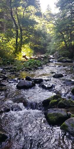 Compress_20250731_155504_4182
