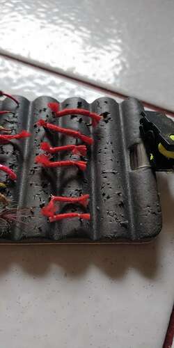 Compress_20251224_115645_5067