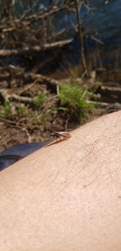 9c7796ed-f219-474a-a13a-daafac7f542c