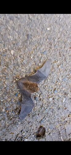 Screenshot_20251205_165345_Video Player