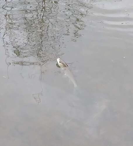 Compress_20251204_190332_2142