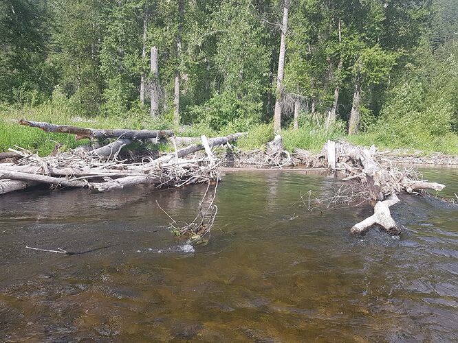 IMG-20220713-WA0023