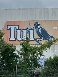 tui
