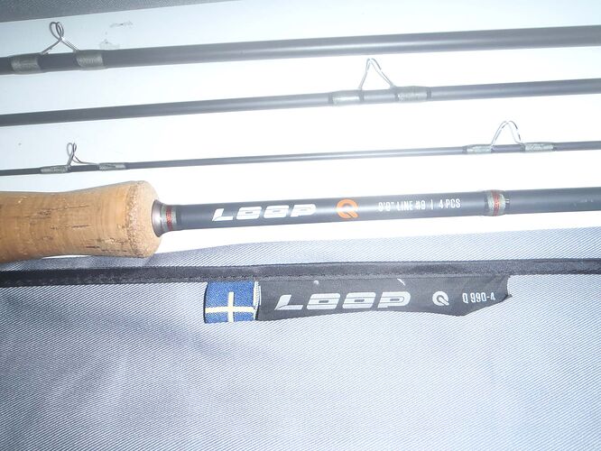 LOOP-Q-3