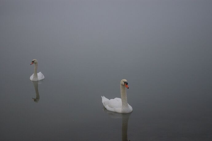 49791006_530340104120907_1782217497181683712_n