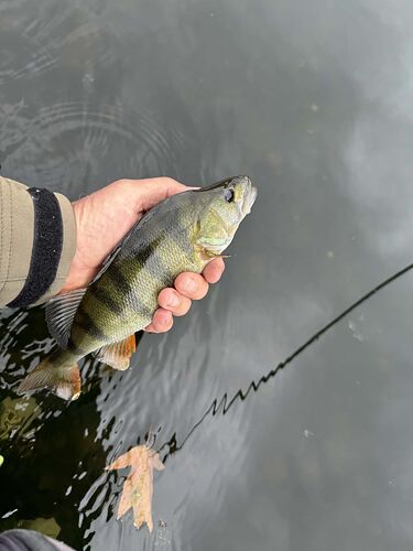 IMG_6557