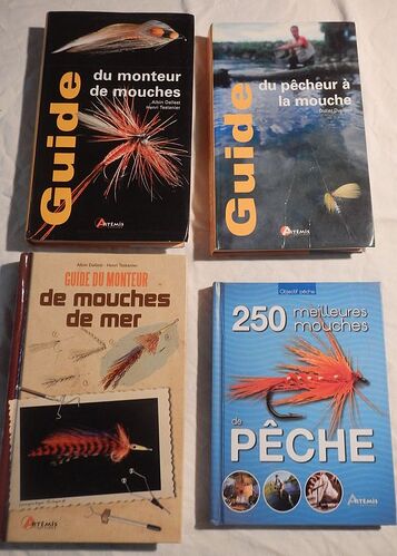 Livres mouches (2)