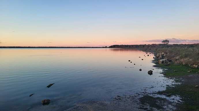 IMG-20260220-WA0000