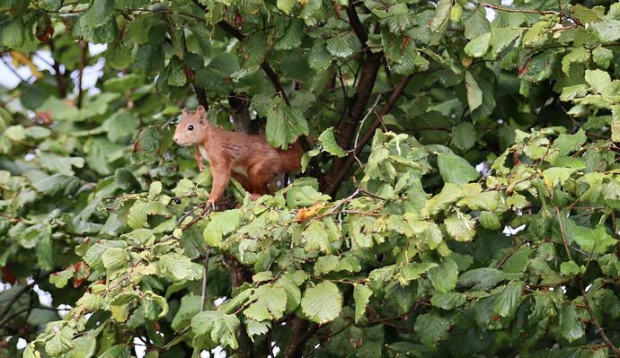 469891029_1973002406521329_4099982134076603668_n