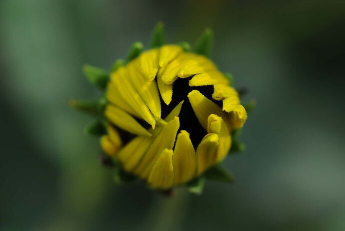 D300s -1 081r