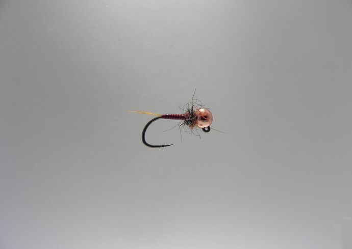 Nymphe echdyo quill rouge