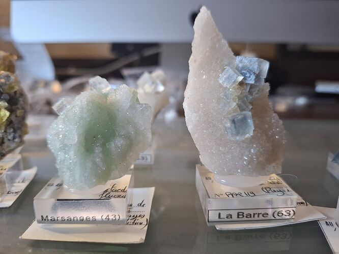 564021583_2223555514799349_8265638114127536558_n 2