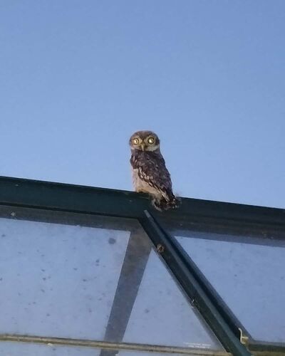 IMG_20250626_220554_XLk0PLsz4O