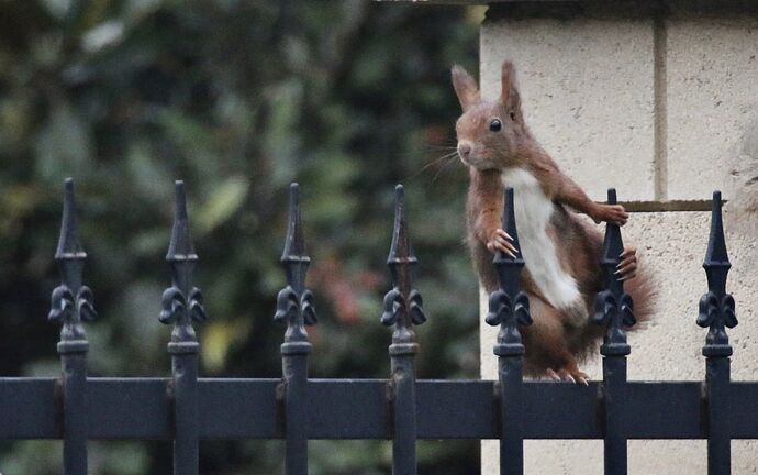 470218509_1974976966323873_7824318027597816934_n