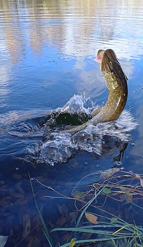 Capture d’écran 2025-12-01 095807