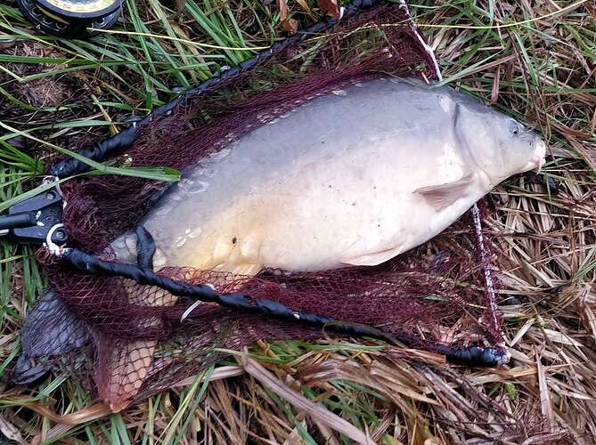 Compress_20251219_133758_8221