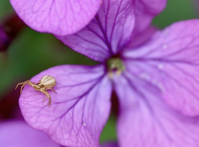 491955015_2076352496186319_8671201166314517437_n 2