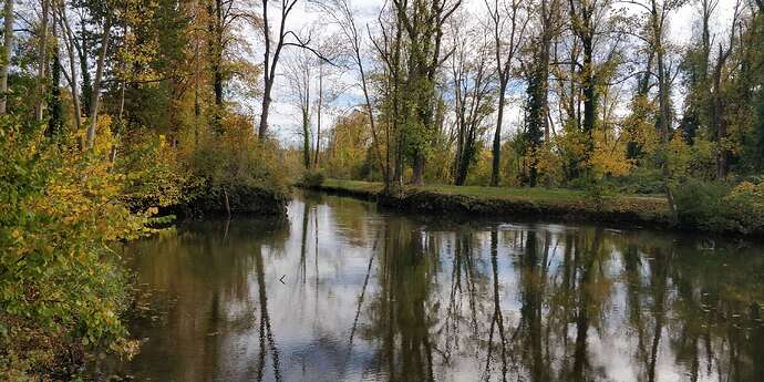 Compress_20251105_181259_9321