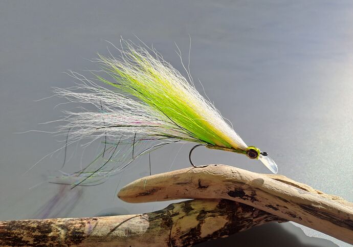 Piker point brochet'