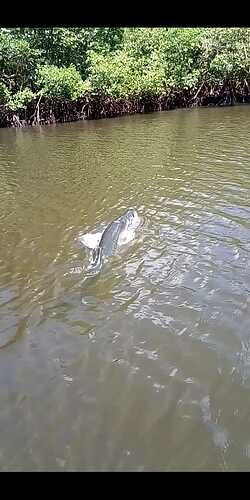 IMG-20211030-WA0030