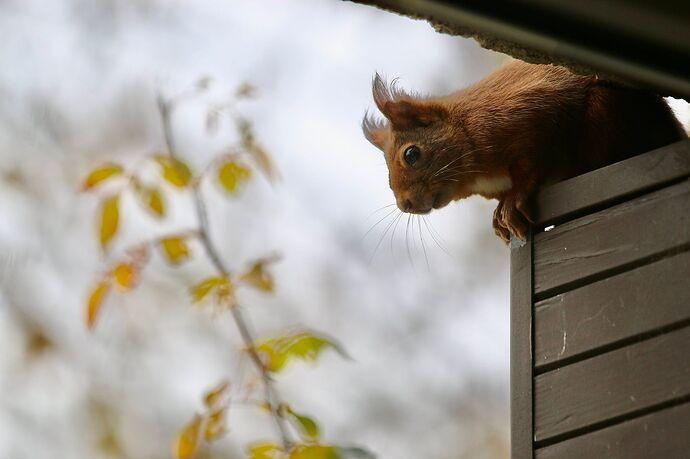 470186592_1976035622884674_3753204367087869577_n