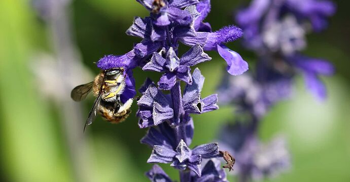 IMG_5305