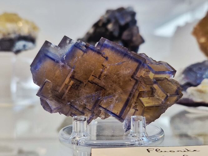 627866948_122158034090929930_3608563168303297590_n