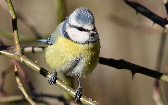 470217090_1976251676196402_8490772111446879473_n