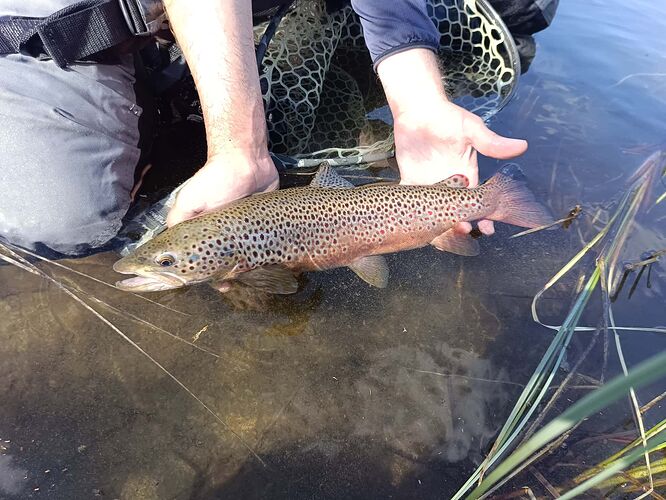 IMG_20250722_150326_163