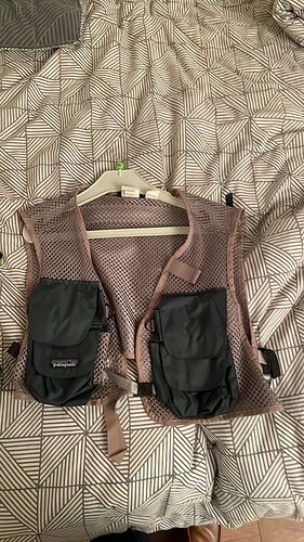 Patagonia Minimalist Vest_1
