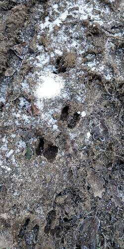 Compress_20260107_161553_3287