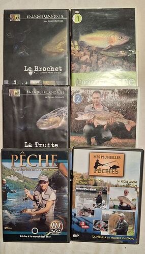 dvd mouches