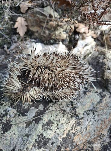 566243245_2229820184172882_3053237139425640007_n