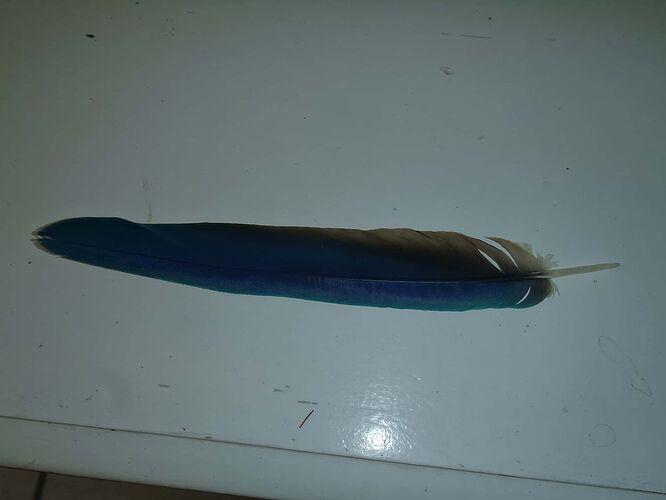 P1010127