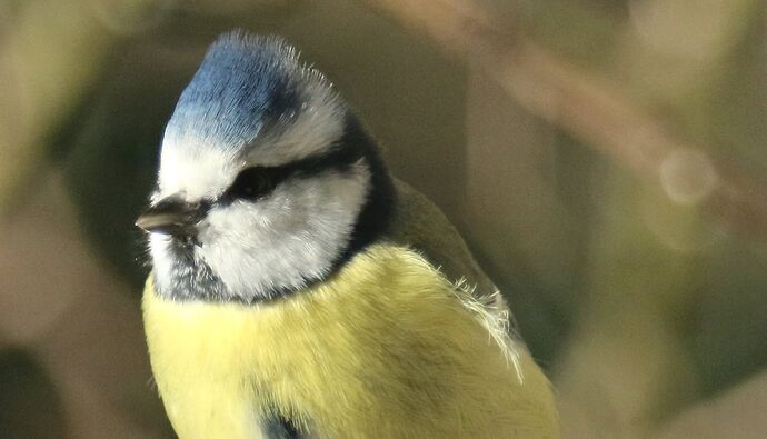 470175662_1976017316219838_3095285883482656328_n 2