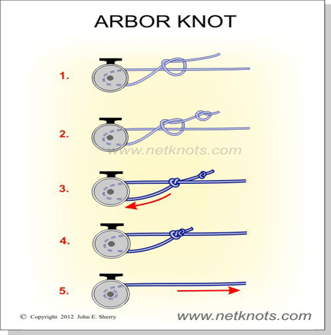 arbor-knot