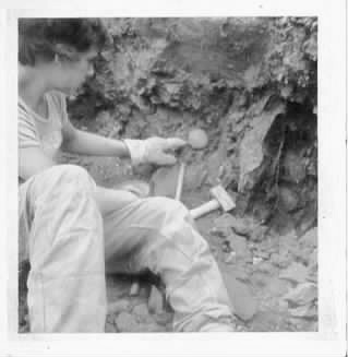 recherche Septaria 2