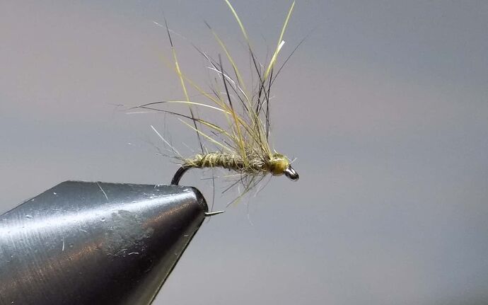 4774d046ba0f0156d97d68d83a99d48eb8ef12cc_2_690x431